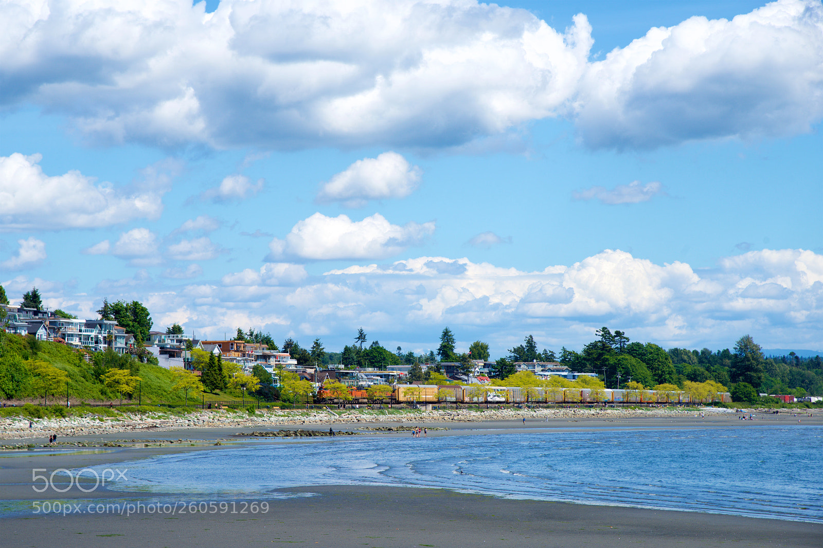 Nikon D800E sample photo. Whiterock,b.c.,canada photography
