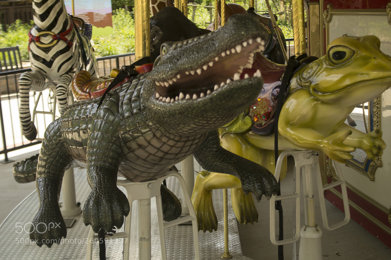 Canon EOS 1200D (EOS Rebel T5 / EOS Kiss X70 / EOS Hi) sample photo. The alligator on the photography