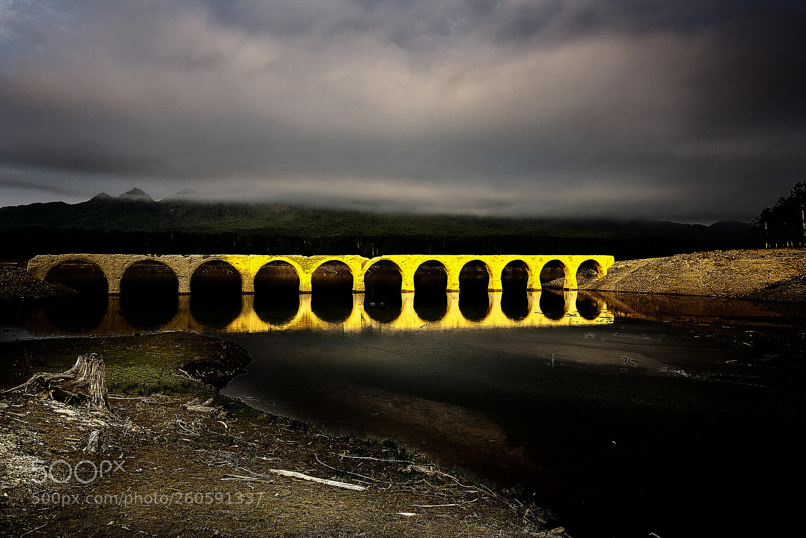 Sony a7R III sample photo. Dirty old gold bridge photography