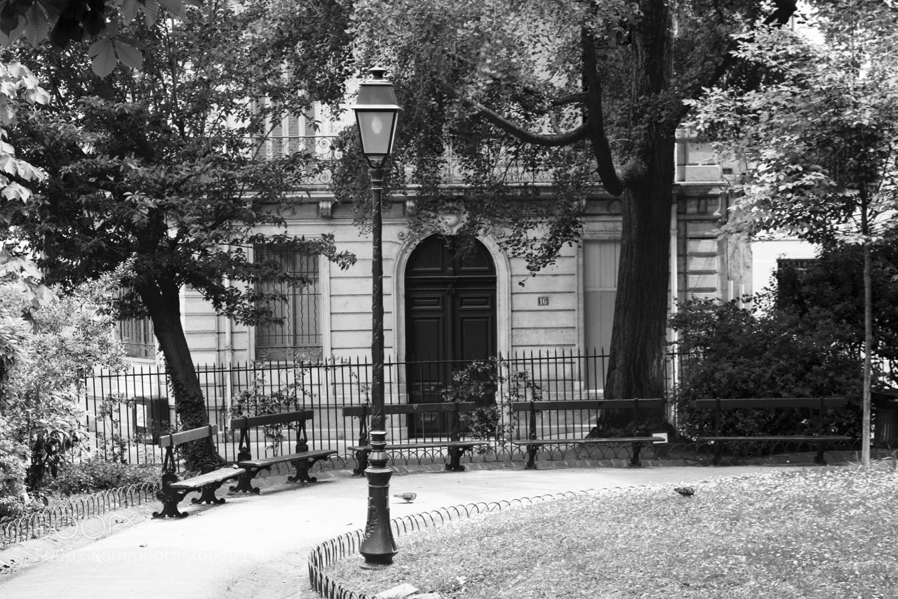 Canon EOS 750D (EOS Rebel T6i / EOS Kiss X8i) sample photo. French park photography