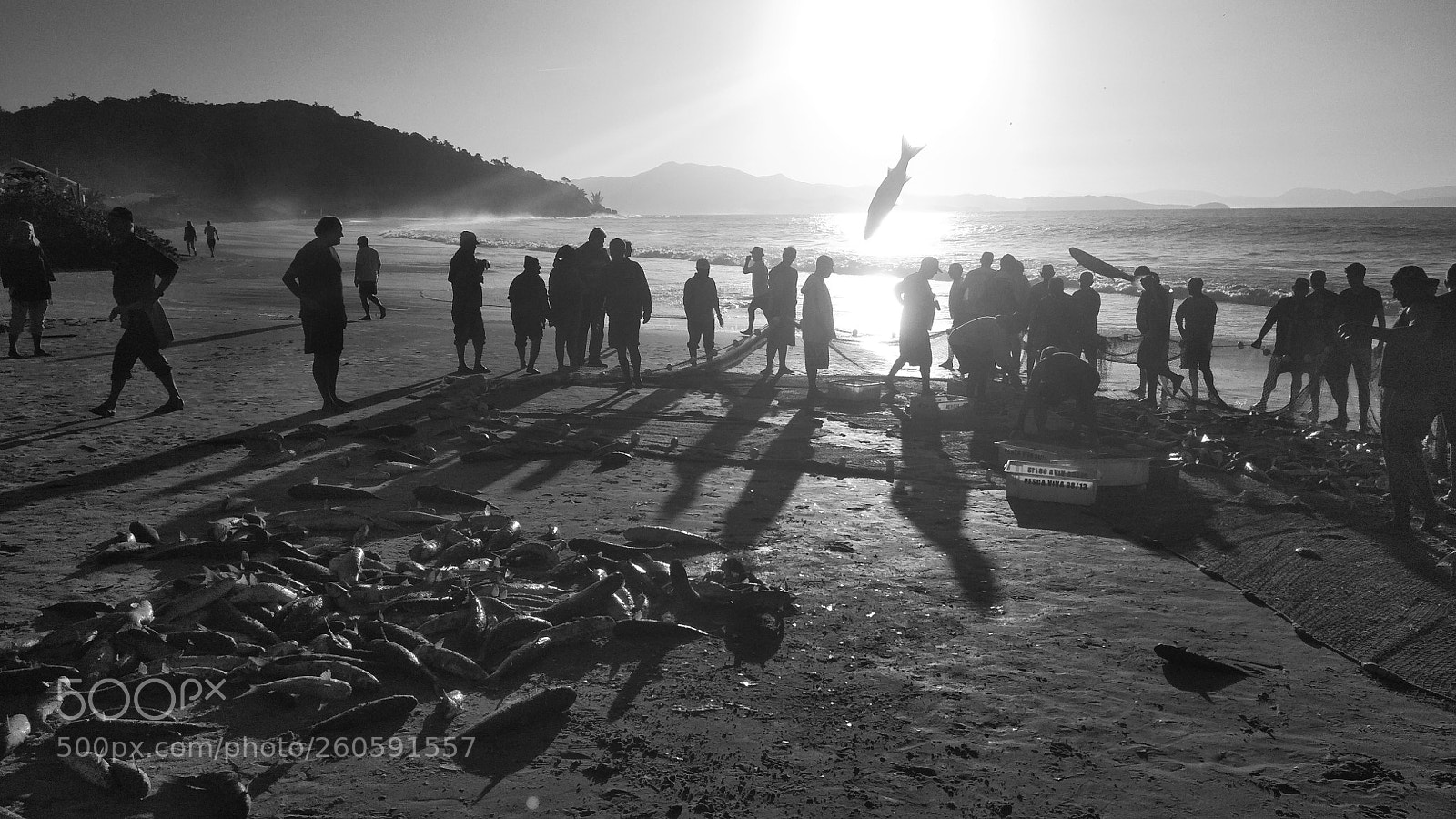 Xiaomi Redmi 4X sample photo. Mullet fishing photography