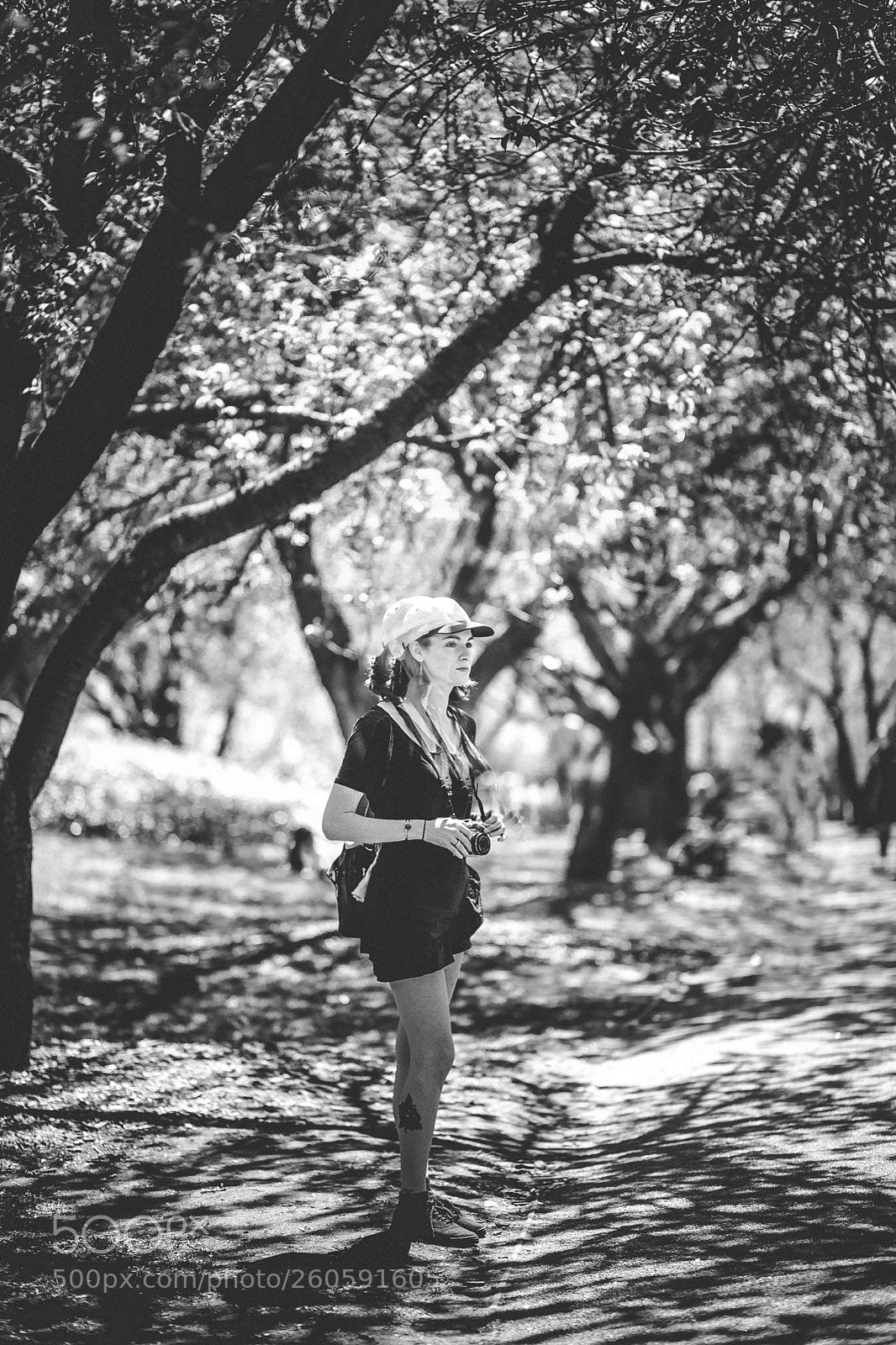 Canon EOS 6D sample photo. Botanical garden afternoon photography
