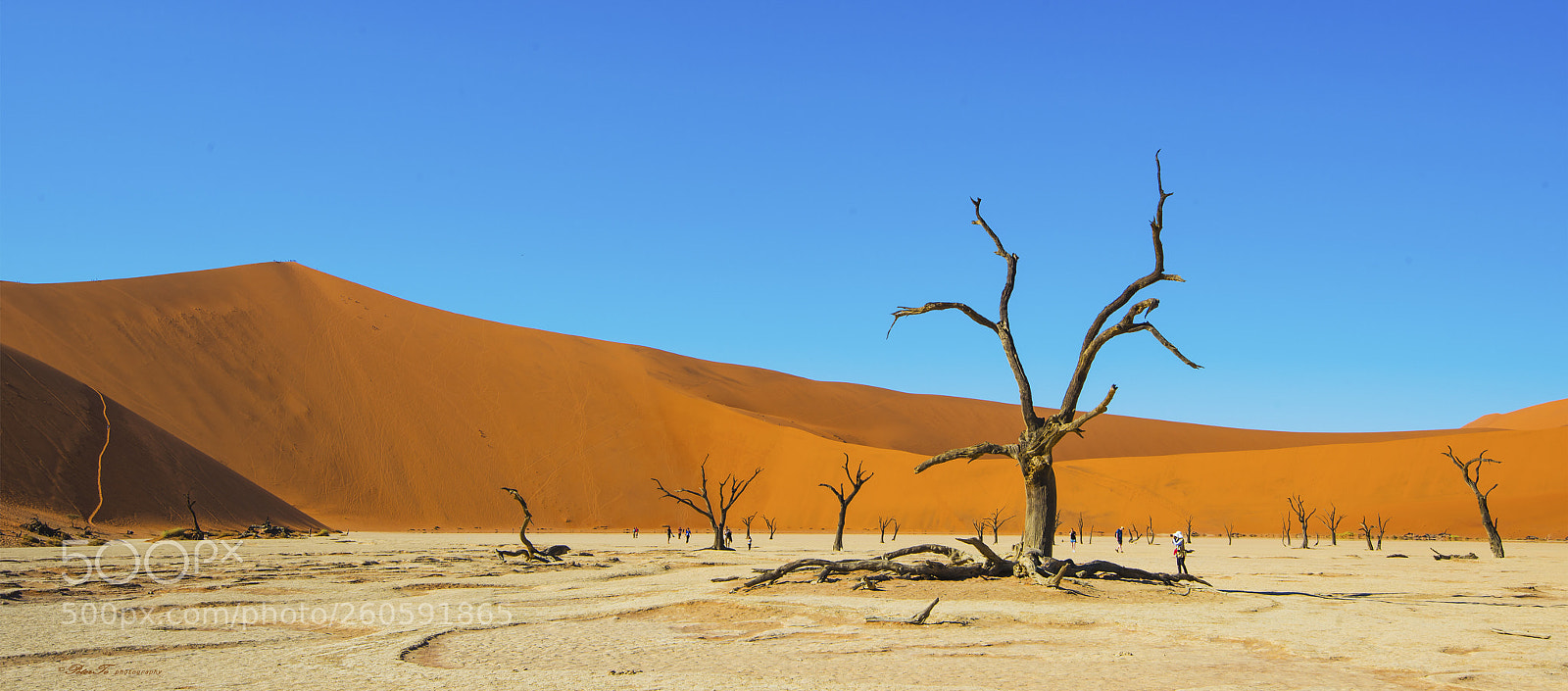 Nikon D800 sample photo. Deadvlei, sossusvlei, namibia photography