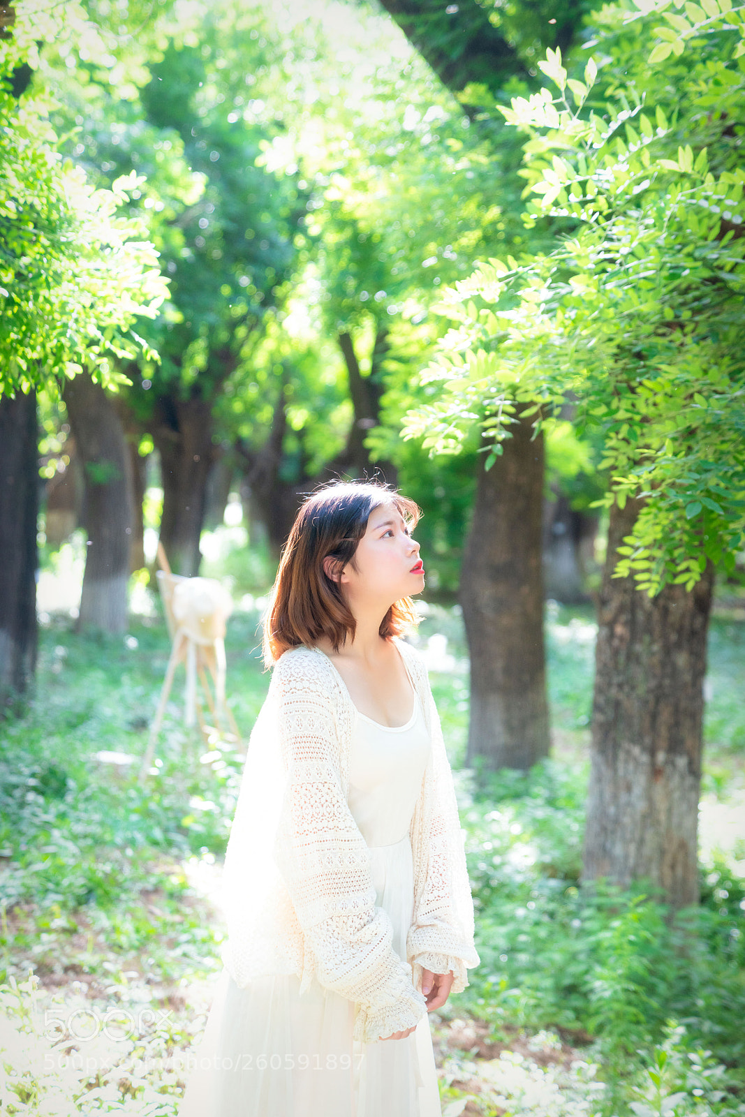 Sony a7R II sample photo. Wonder in the forest photography