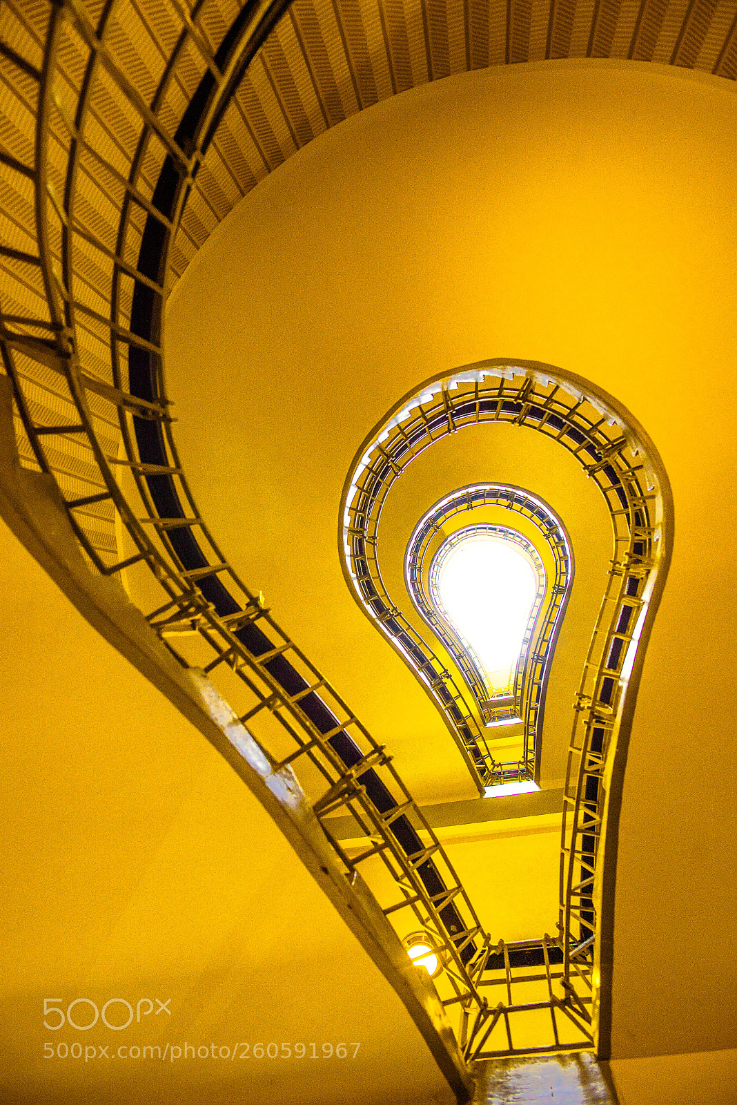 Nikon D750 sample photo. Bright idea photography