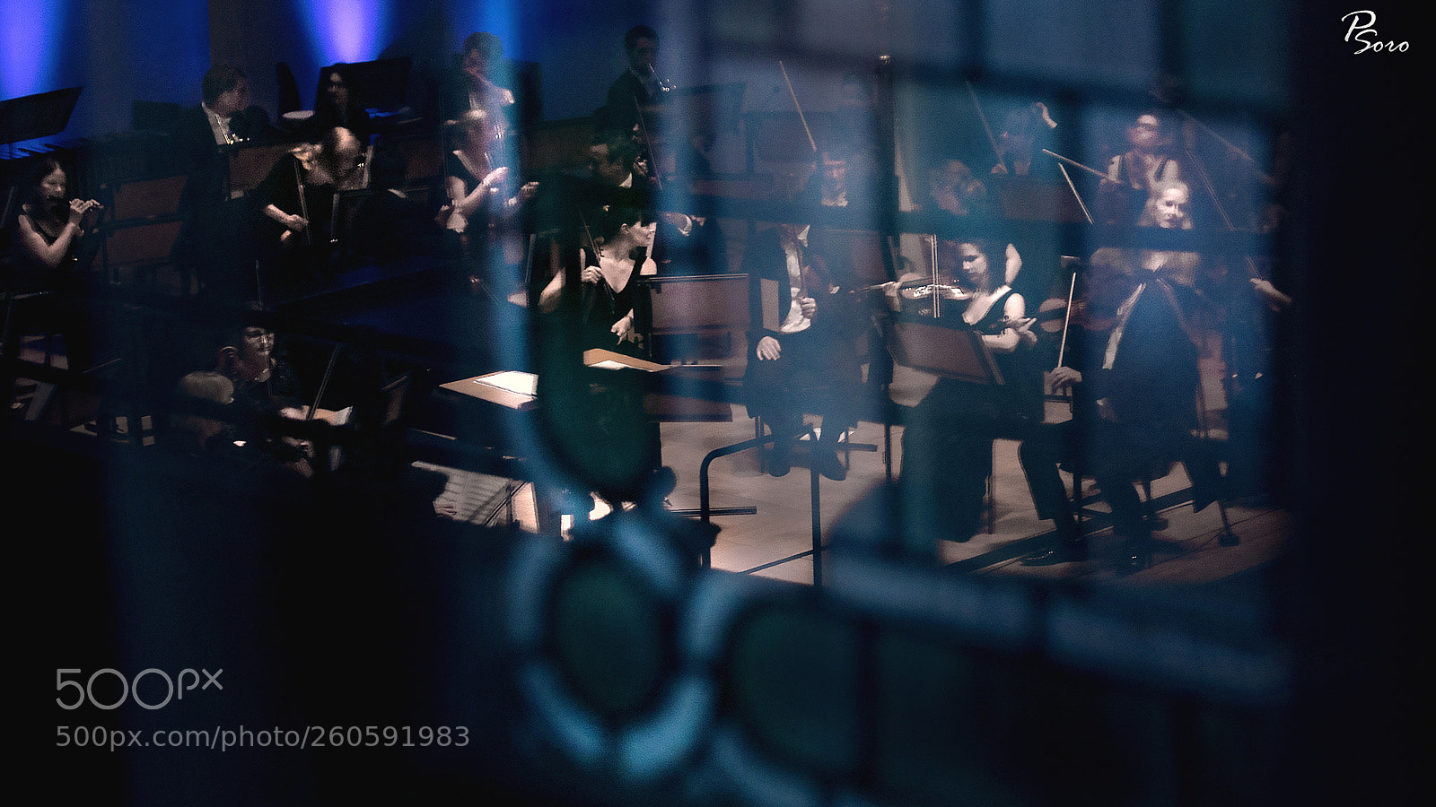 Canon EOS 80D sample photo. Yerkesh shakeyev's concerts in photography