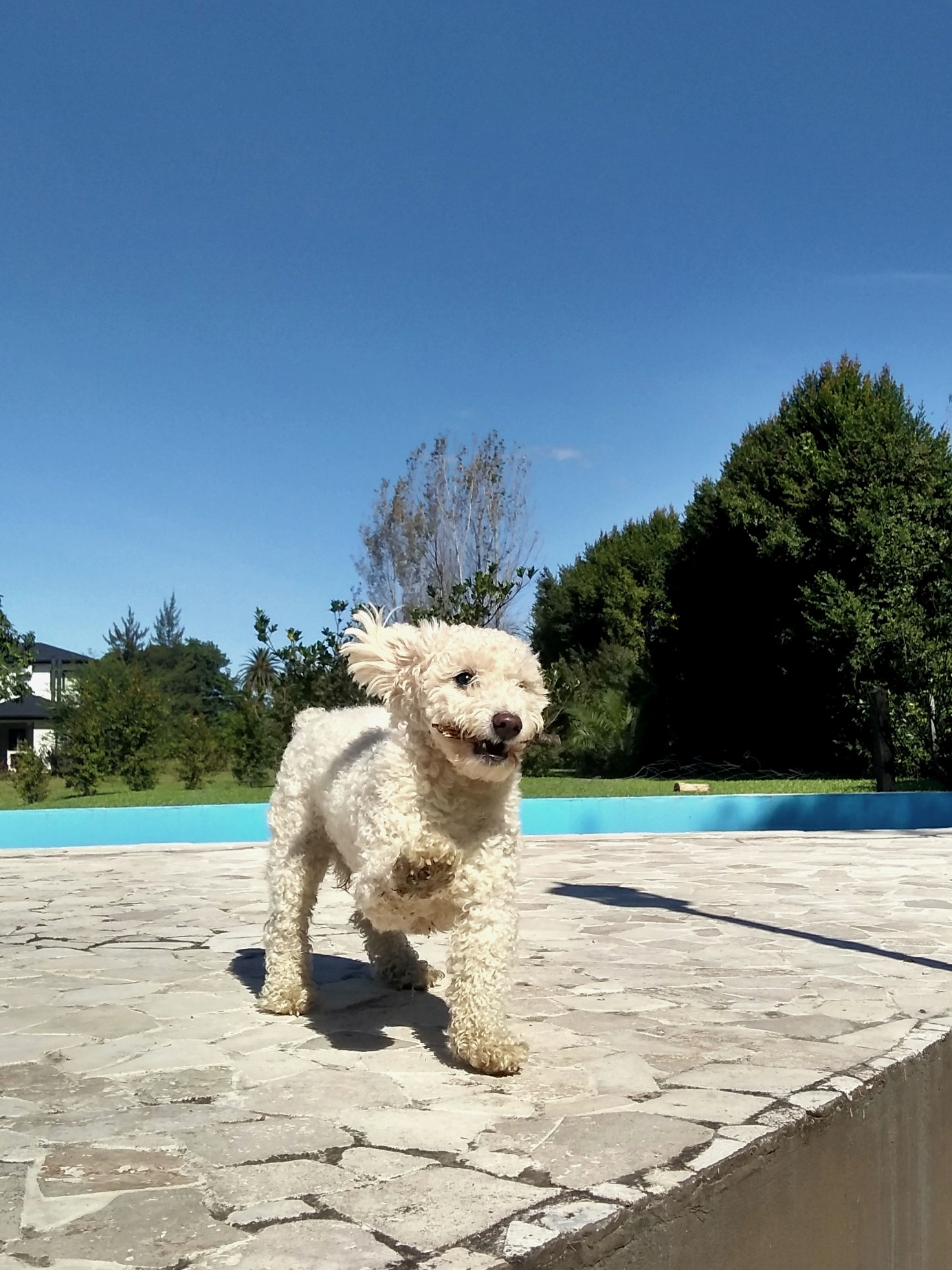 Motorola Moto G (5S) Plus sample photo. Joyful photography