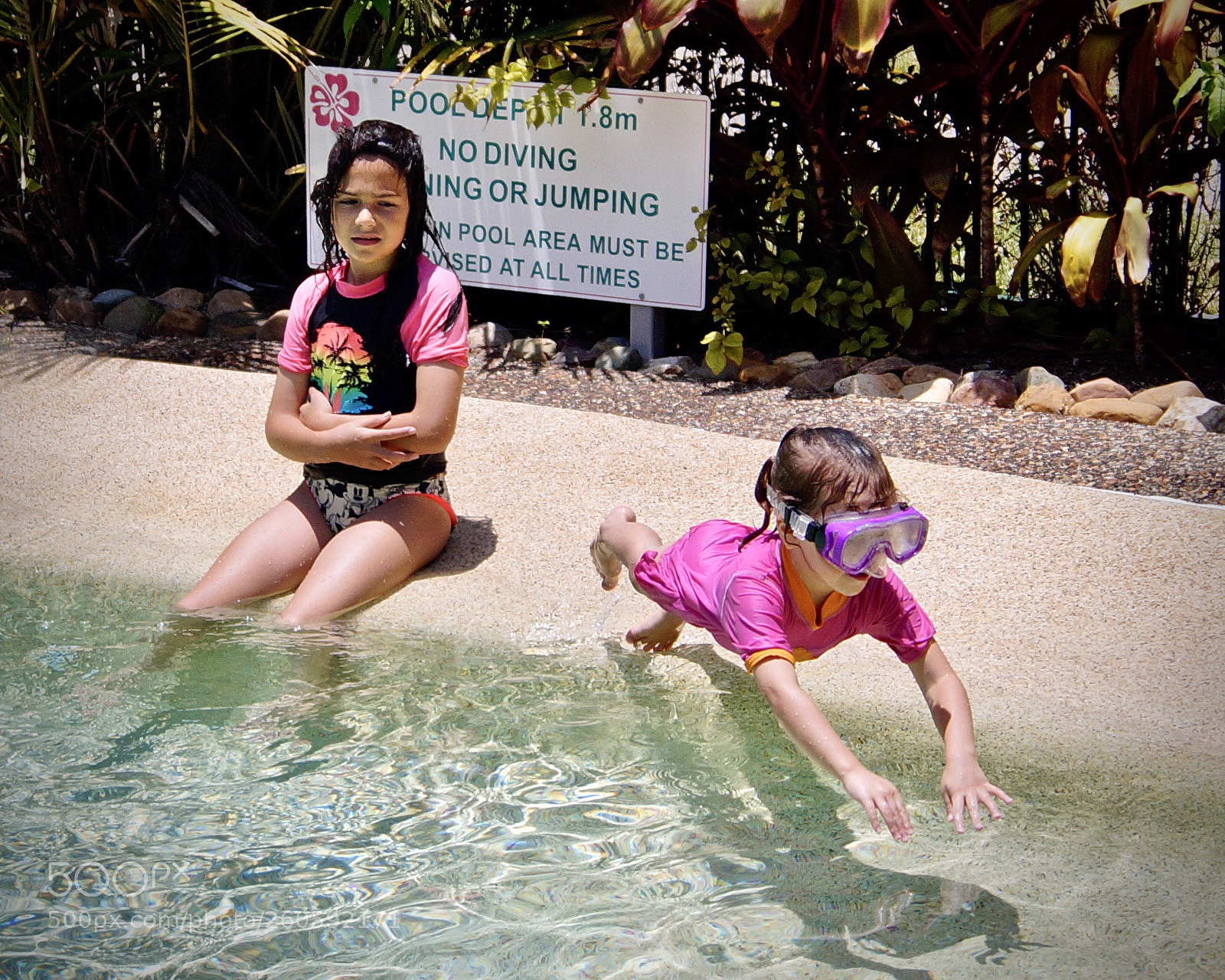 Sony SLT-A58 sample photo. No diving photography