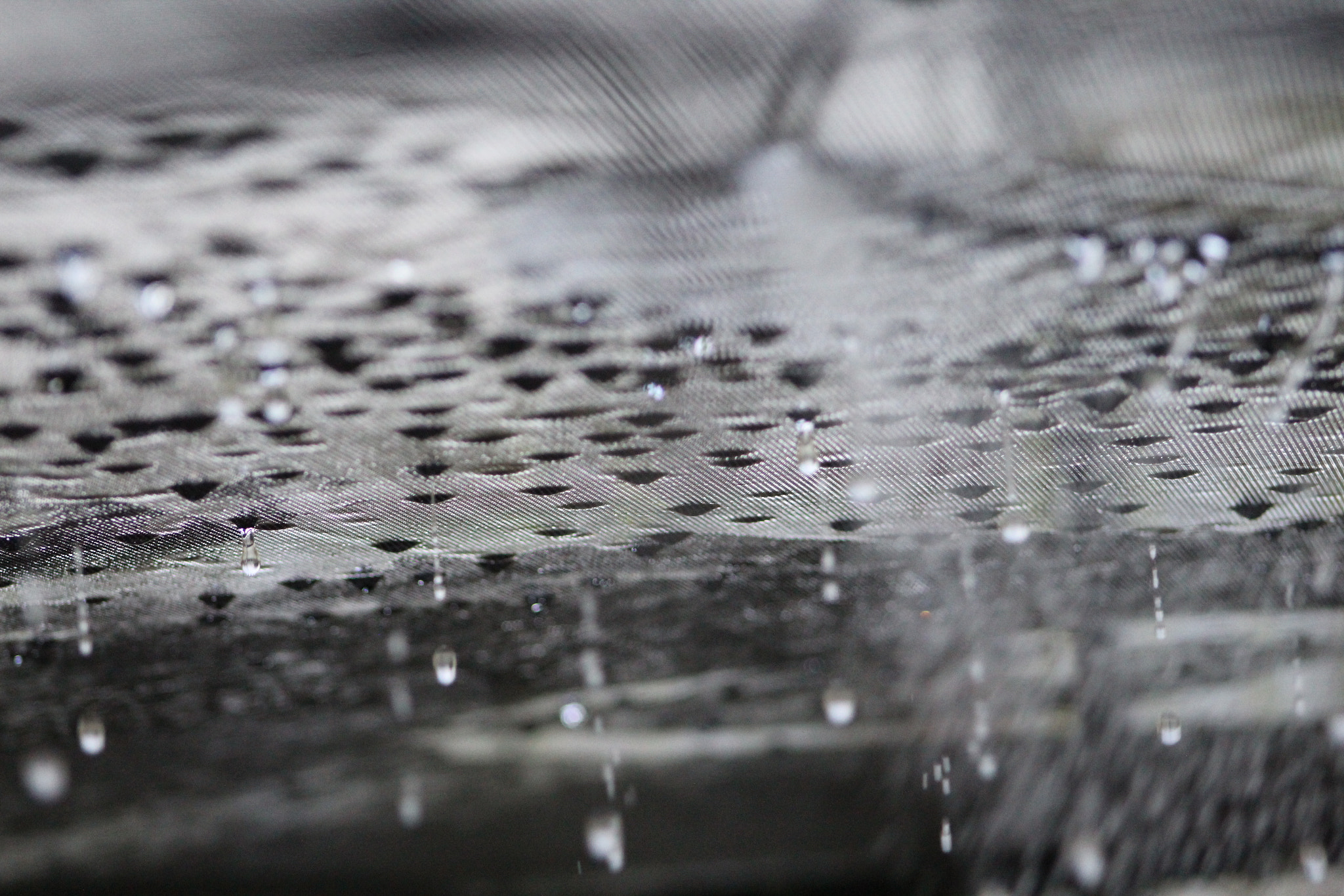 Canon EF 75-300mm f/4-5.6 USM sample photo. Raining down photography