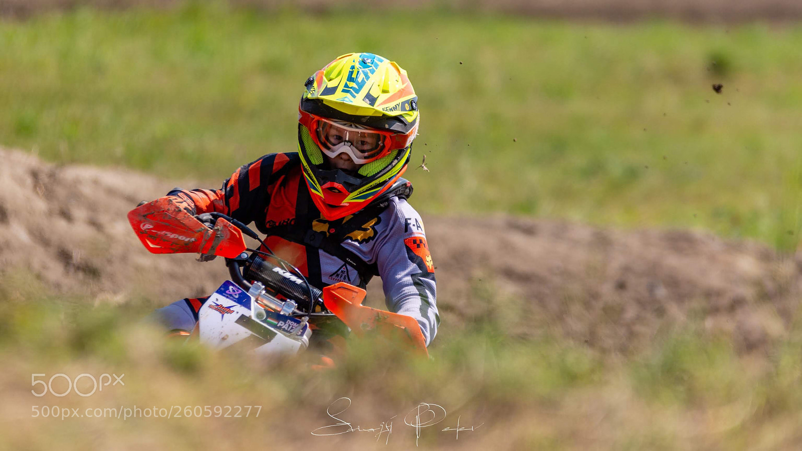 Nikon D7100 sample photo. Focus photography