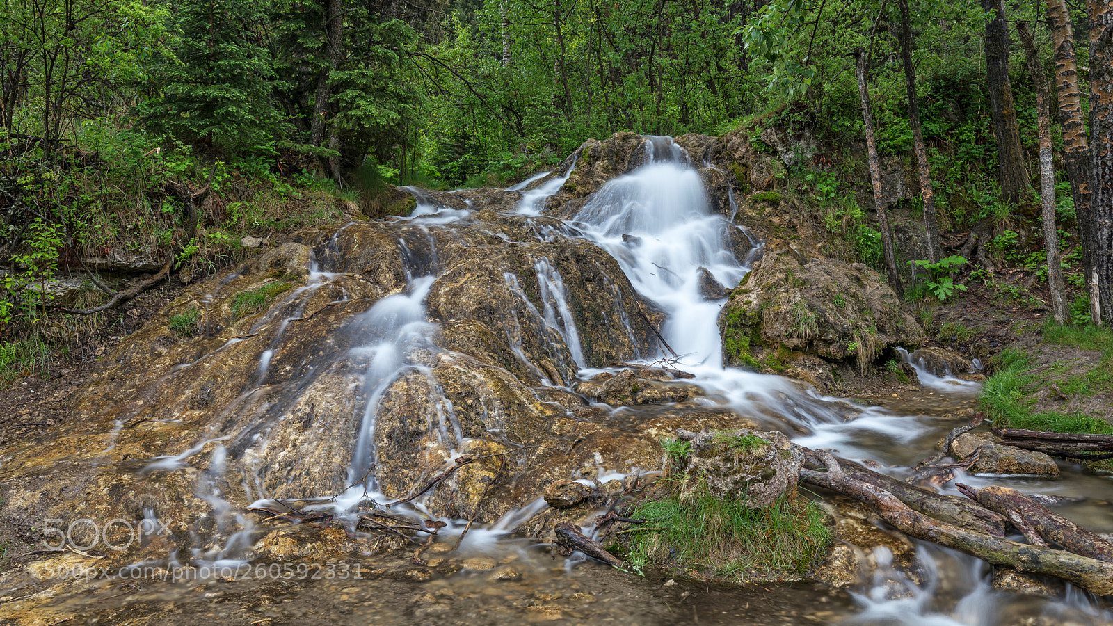 Canon EOS 5D Mark IV sample photo. Big hill springs tufa photography