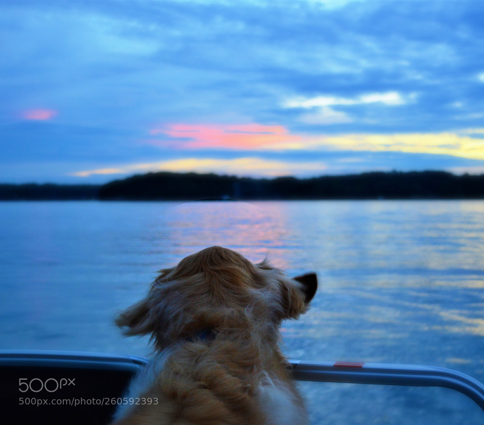 Nikon D3200 sample photo. Sunset dog ears sml photography