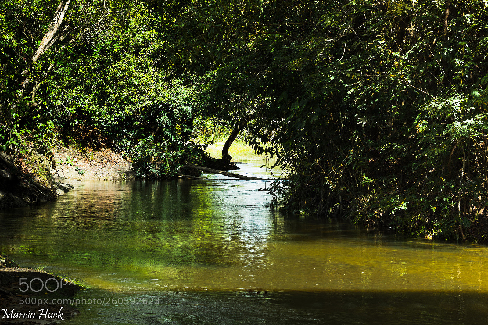 Nikon D7200 sample photo. Córrego photography