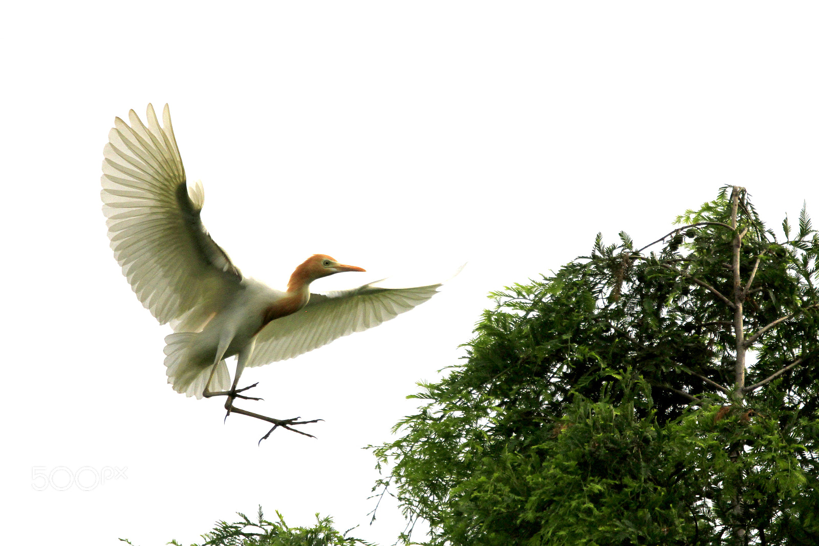 Canon EOS 7D sample photo. The charm of nature photography