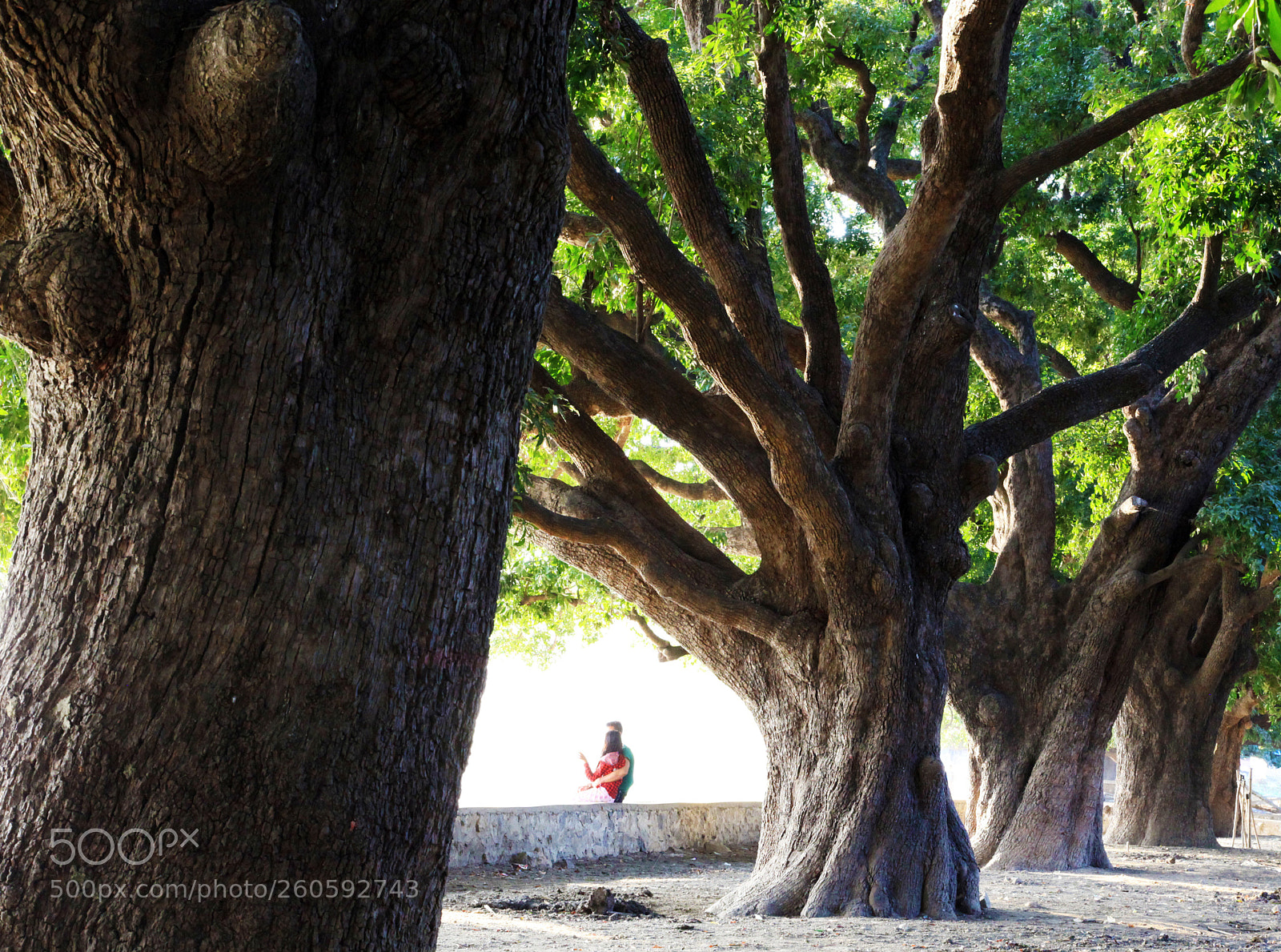 Canon EOS 5D Mark II sample photo. Untitled photography