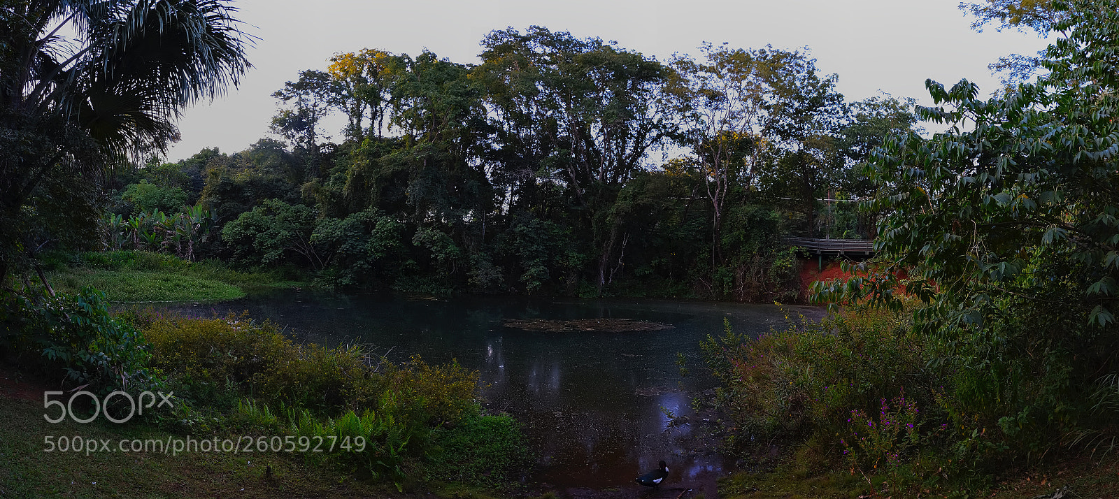 Nikon D5300 sample photo. Home sweet home photography