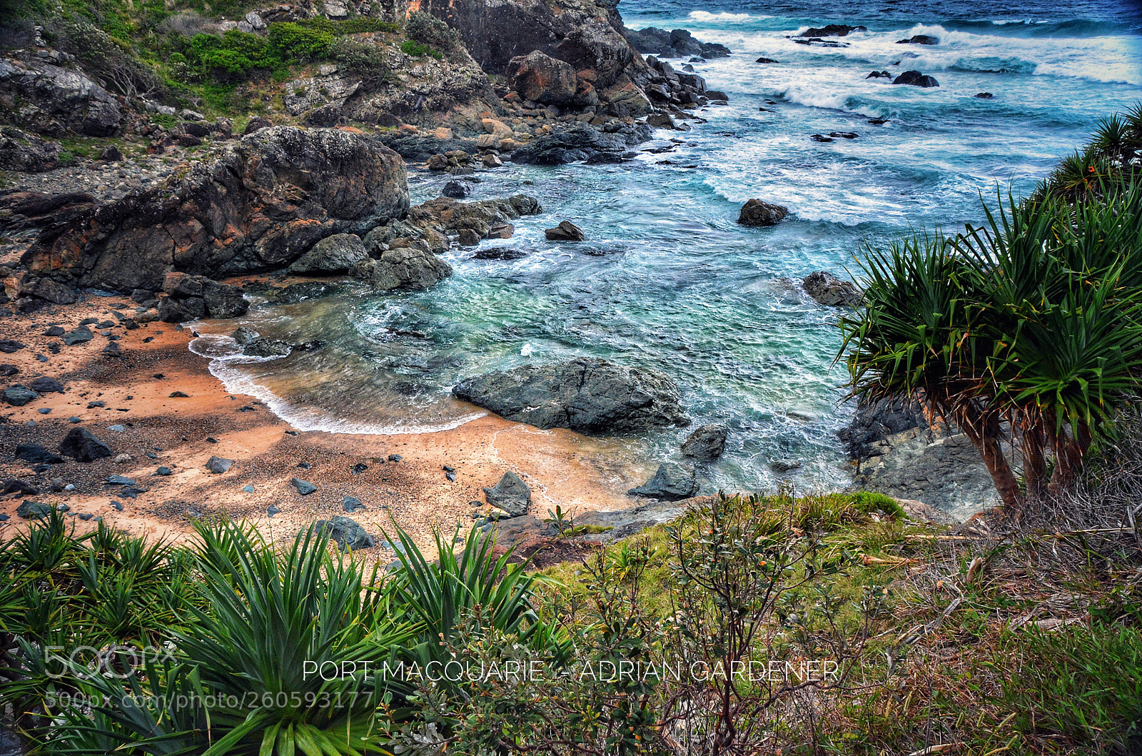 Nikon D7100 sample photo. Port macquarie photography