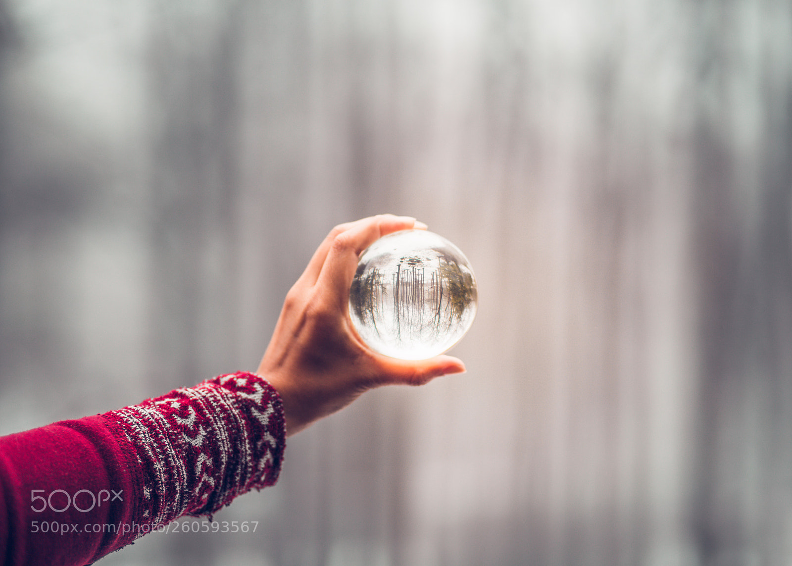 Canon EOS 6D sample photo. Snow ball photography