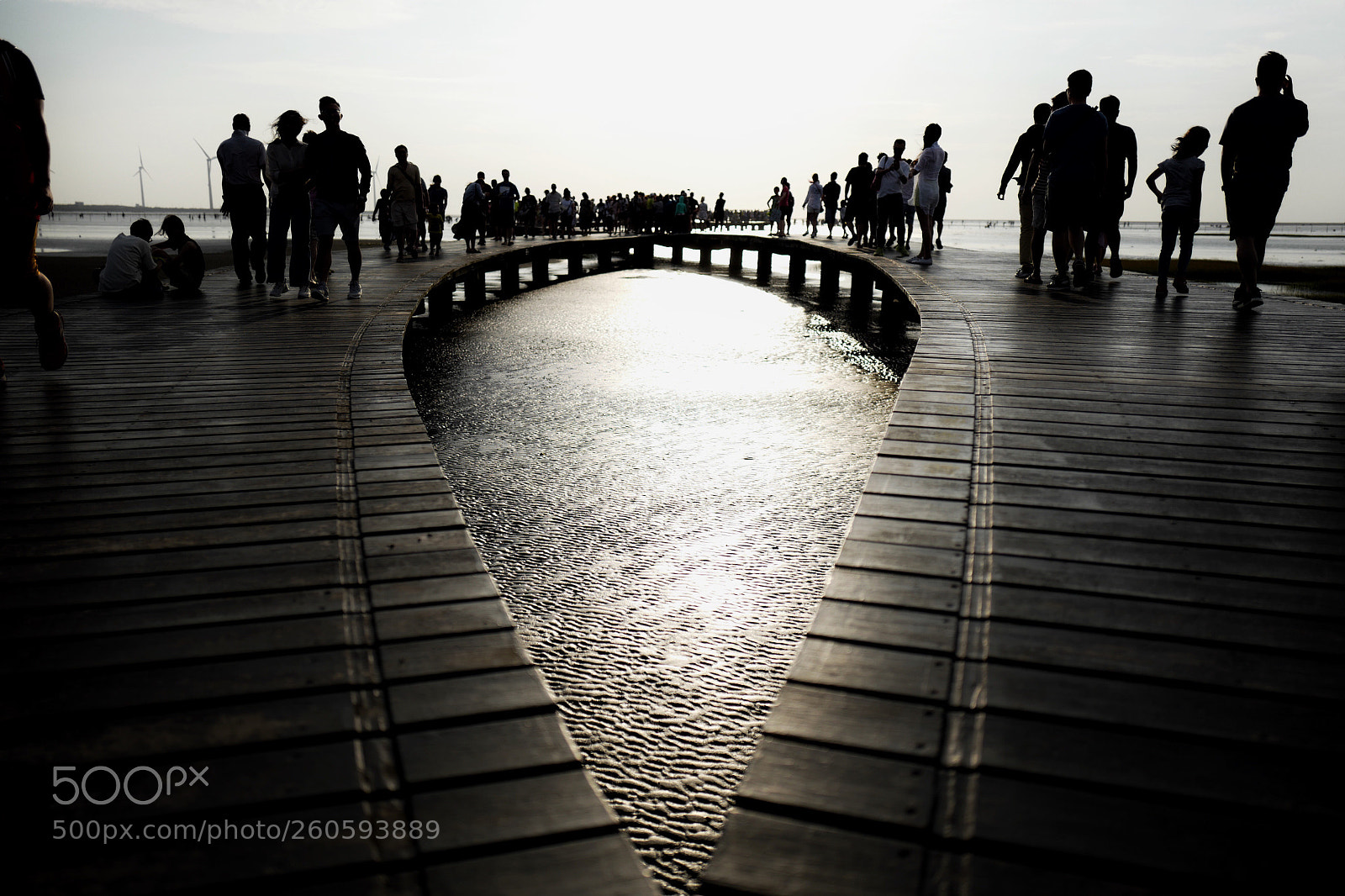 Leica Q (Typ 116) sample photo. Gaomei wetland _taichung photography