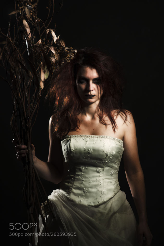 Canon EOS 450D (EOS Rebel XSi / EOS Kiss X2) sample photo. Corpse bride photography