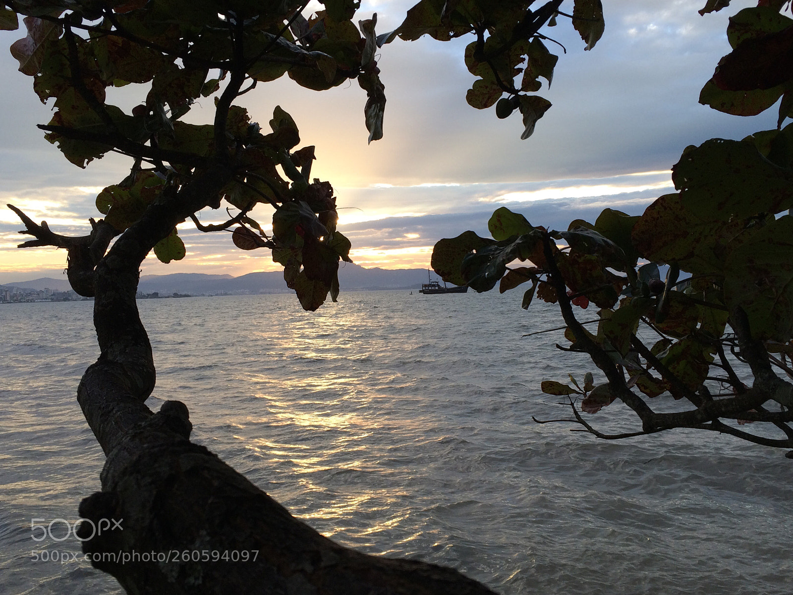 Apple iPhone 5s sample photo. Where is the boat? photography