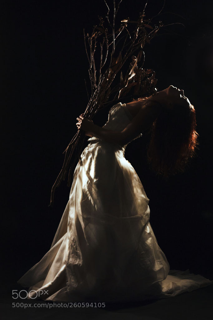 Canon EOS 450D (EOS Rebel XSi / EOS Kiss X2) sample photo. Corpse bride #3 photography