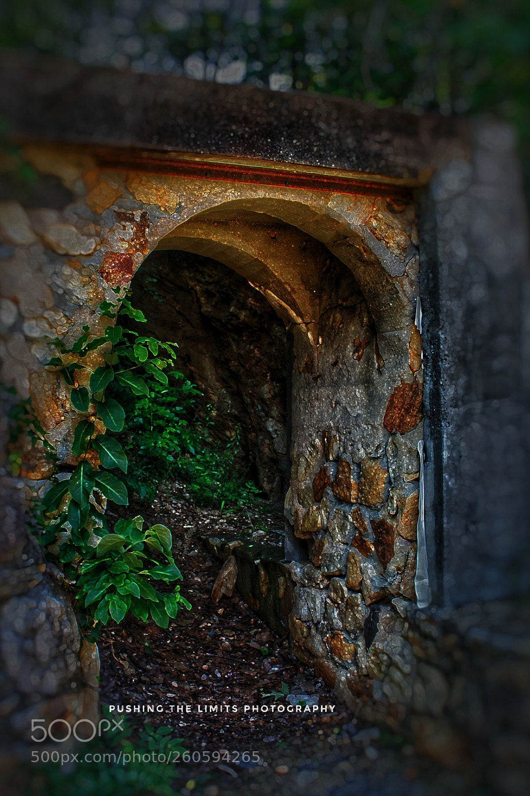 Canon EOS 700D (EOS Rebel T5i / EOS Kiss X7i) sample photo. Lost home ruins photography