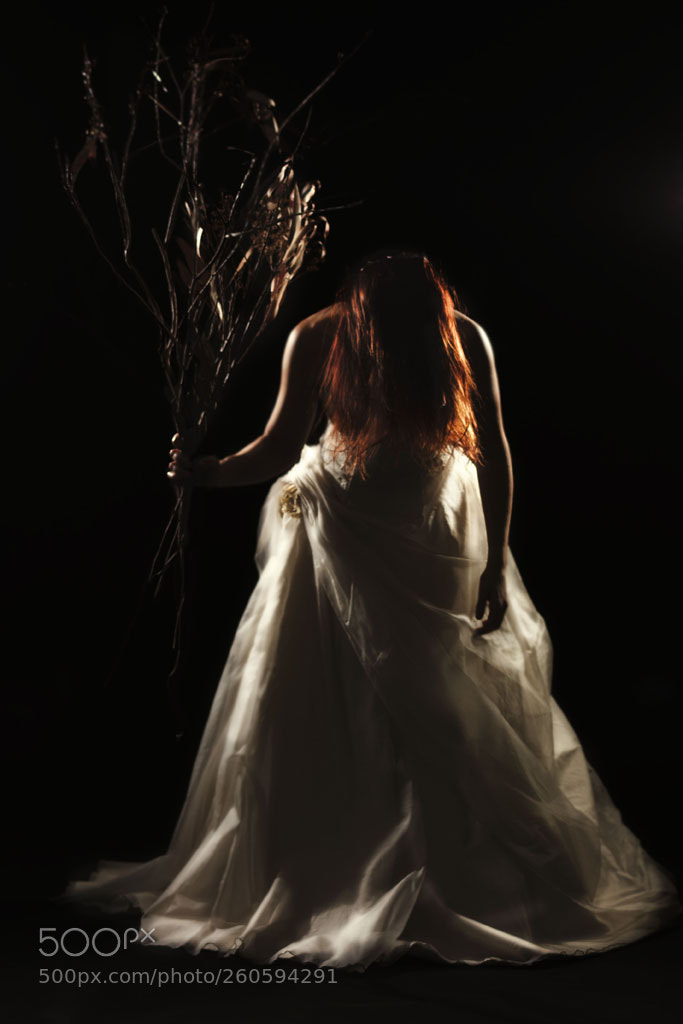 Canon EOS 450D (EOS Rebel XSi / EOS Kiss X2) sample photo. Corpse bride #3 photography