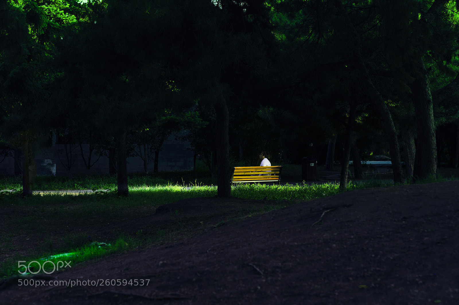 Sony a9 sample photo. Sunset photography