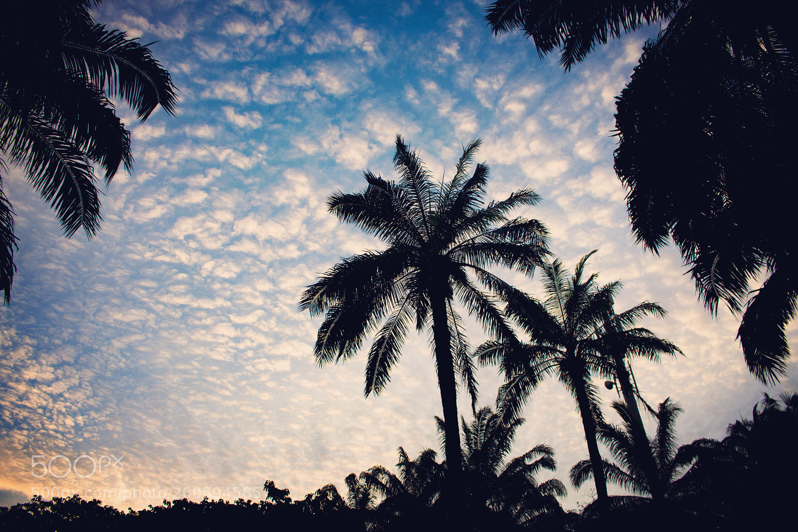 Canon EOS 700D (EOS Rebel T5i / EOS Kiss X7i) sample photo. Shadows along a sunset photography