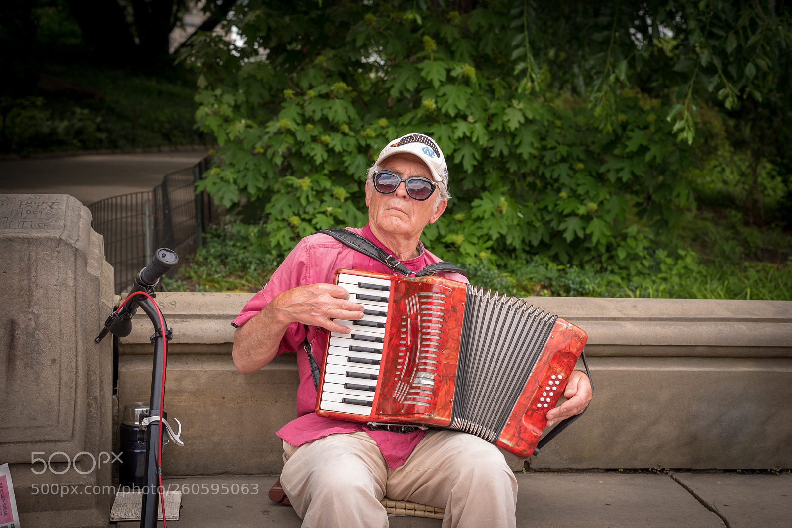 Nikon D750 sample photo. An artiste photography