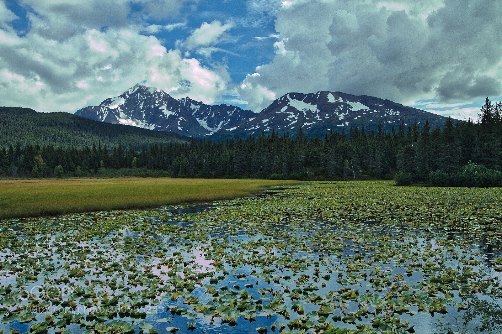 Canon EOS 7D sample photo. Ak pond photography