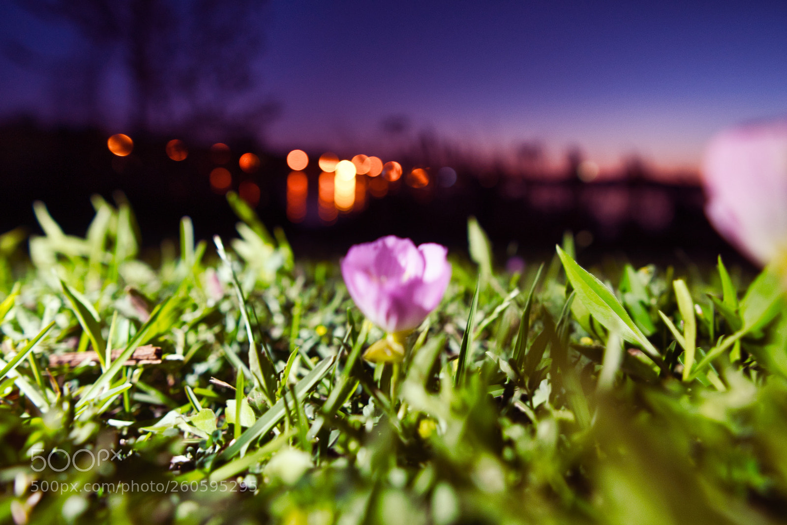 Sony a6500 sample photo. A hidden beauty in photography