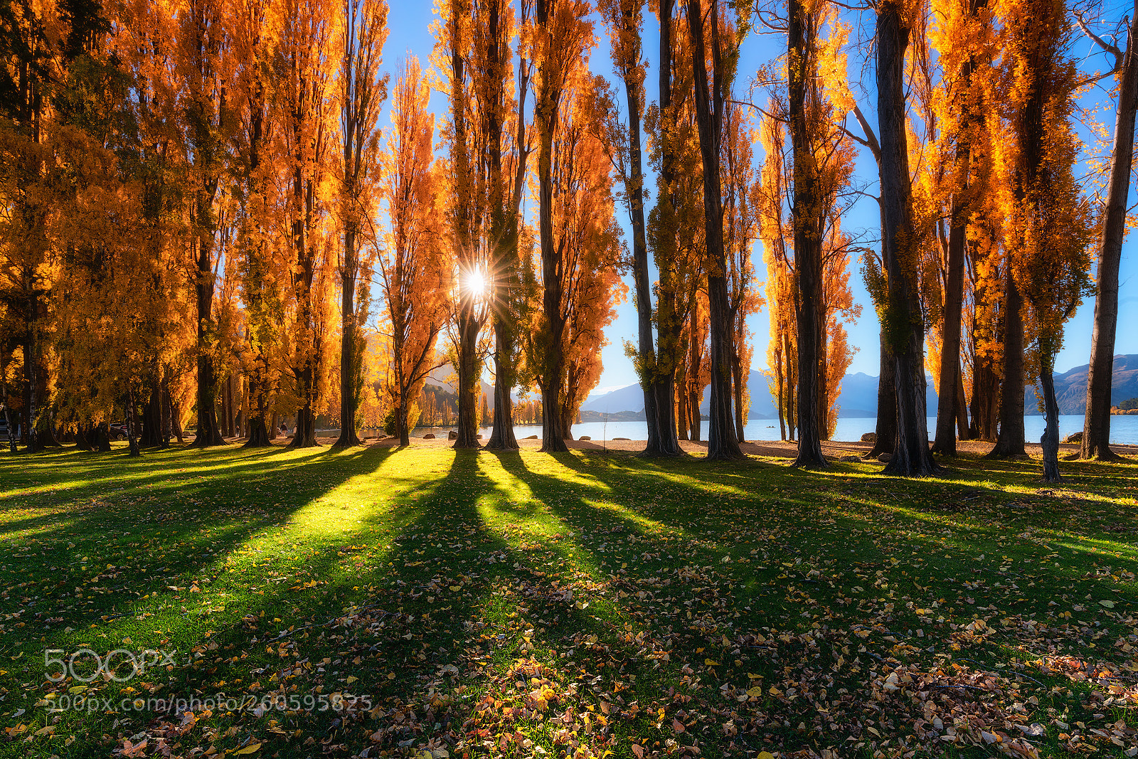 Sony a7R III sample photo. Sunset on lake wanaka photography