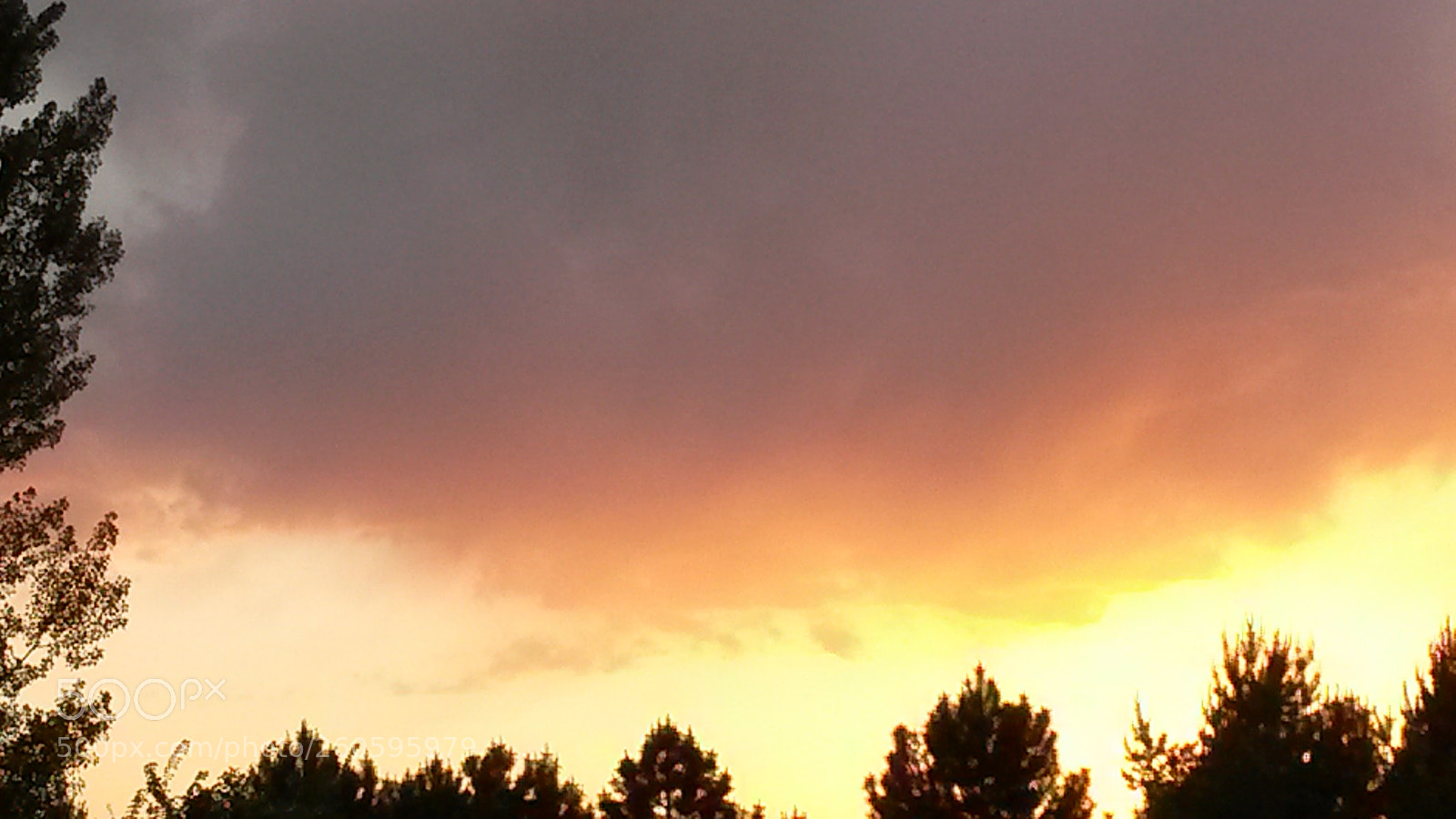 Samsung Galaxy S4 Mini sample photo. Untitled photography