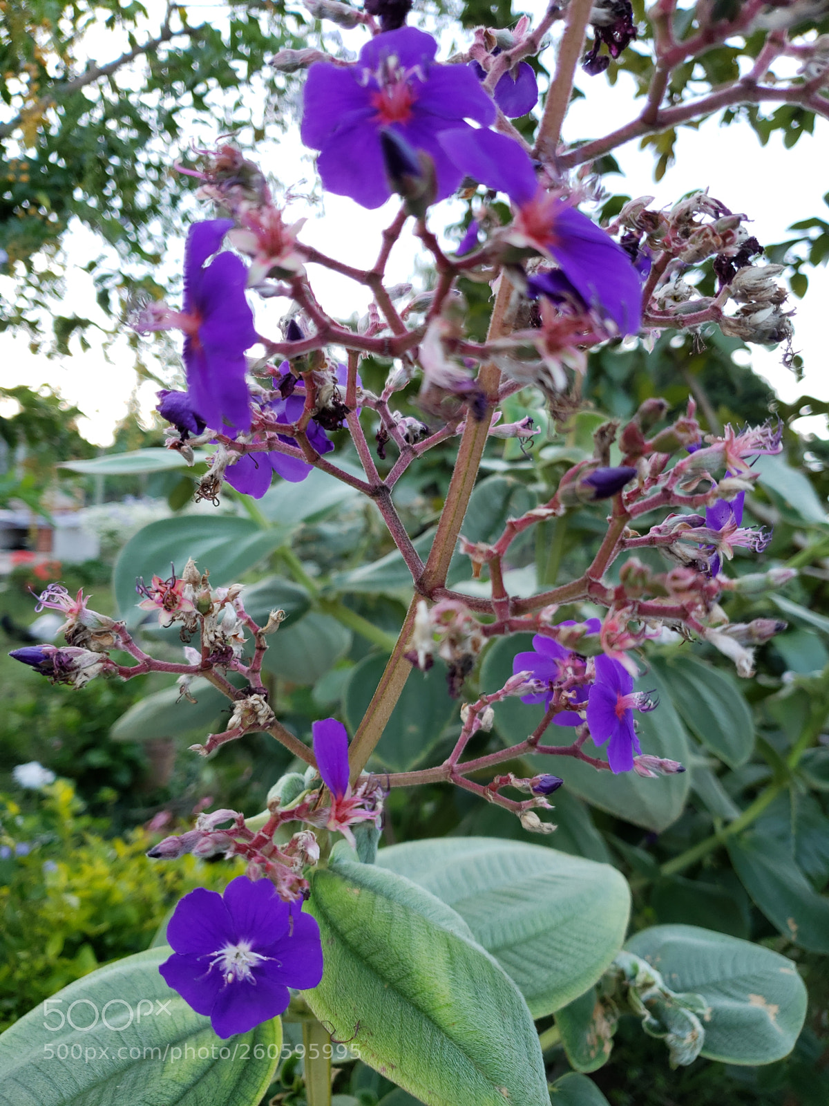 Samsung Galaxy S9 sample photo. Untitled photography