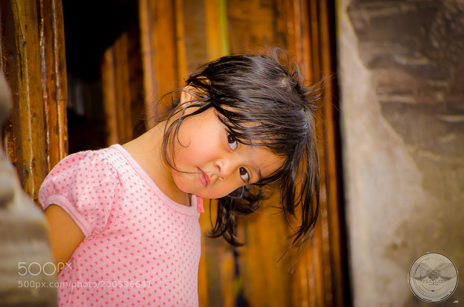 Nikon D5100 sample photo. Walking around photography