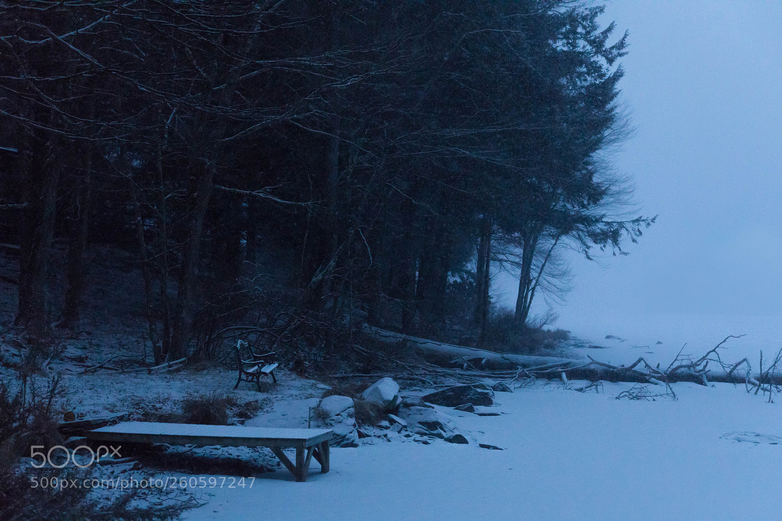 Canon EOS 5D Mark IV sample photo. Where'd the water go? photography