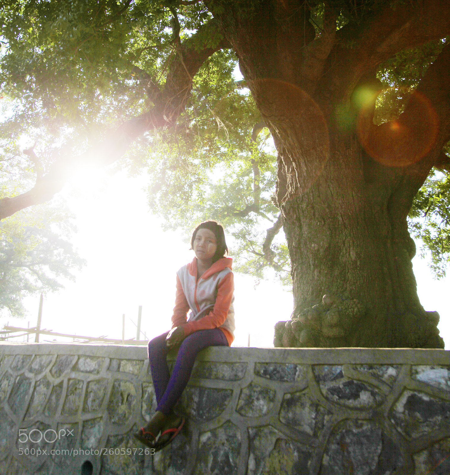 Canon EOS 5D Mark II sample photo. Untitled photography
