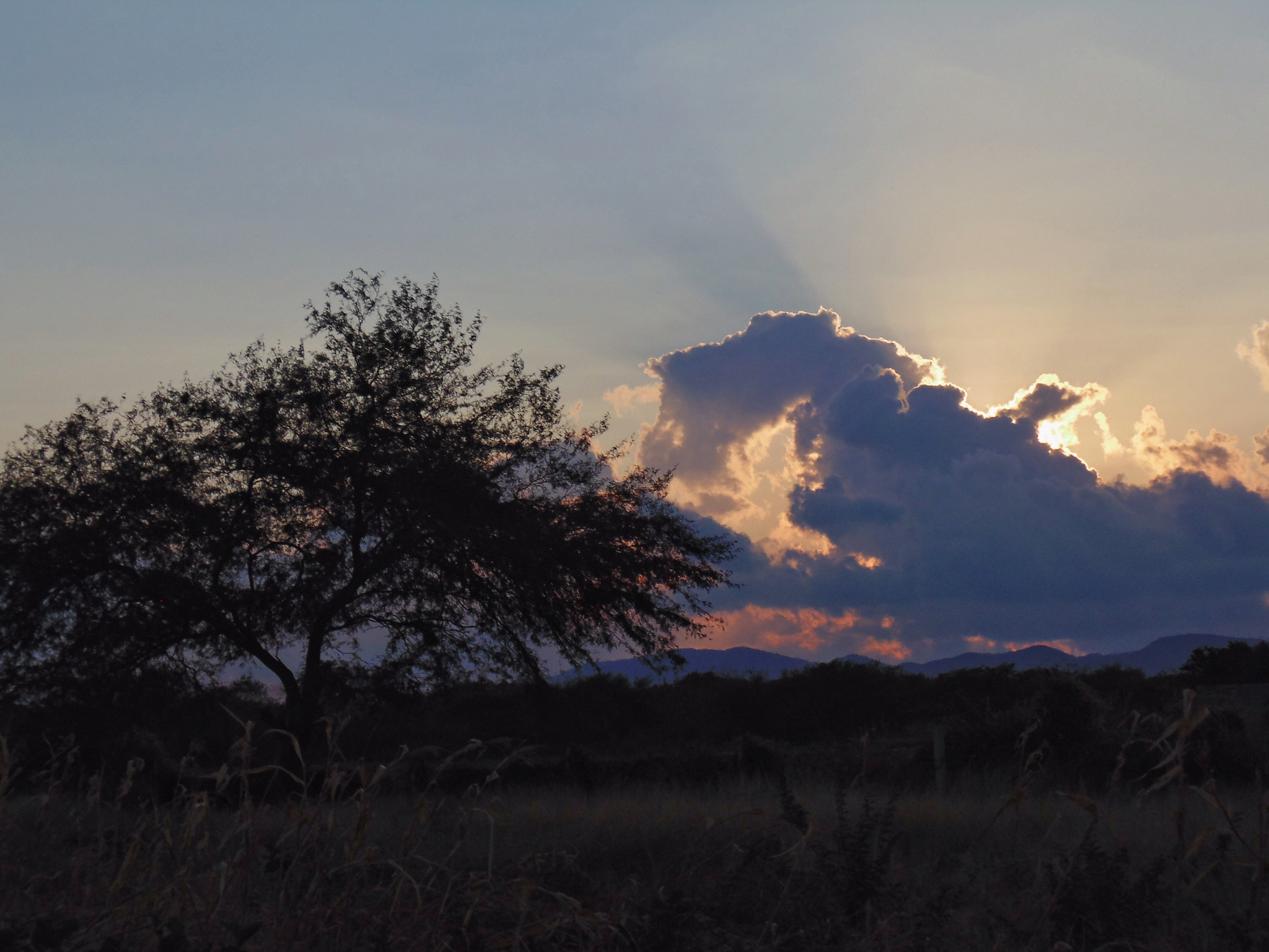 Sony DSC-H100 sample photo. Amanecer con nubes photography