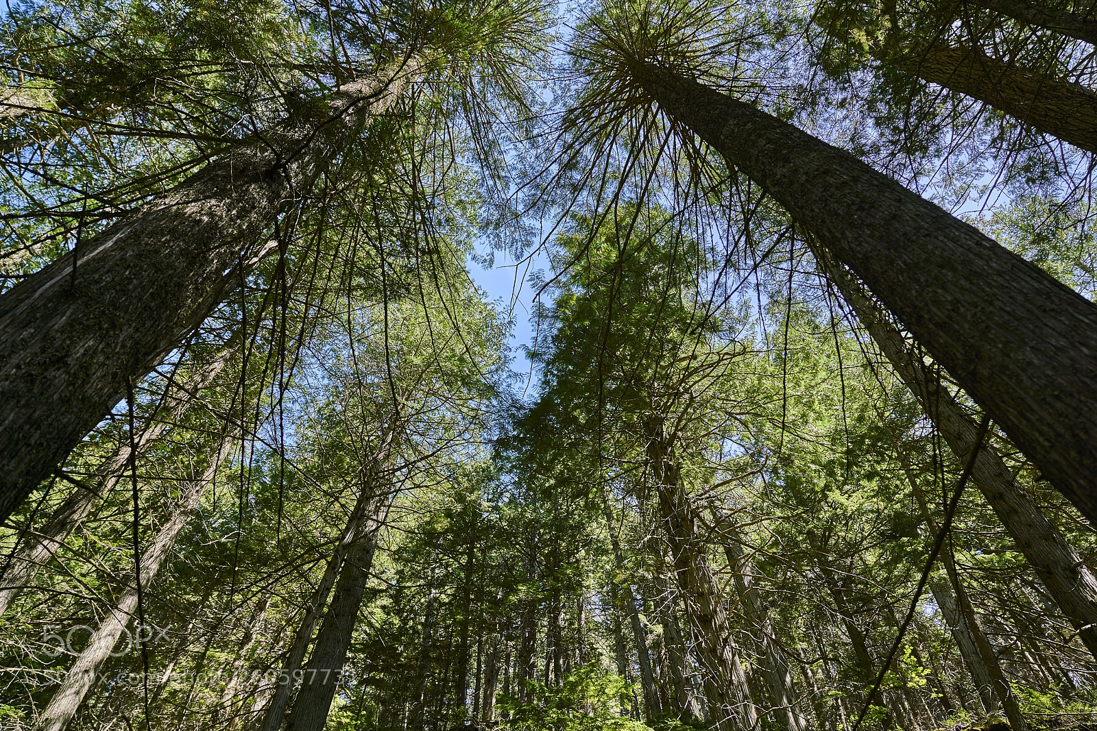 Sony a7R II sample photo. Far above photography