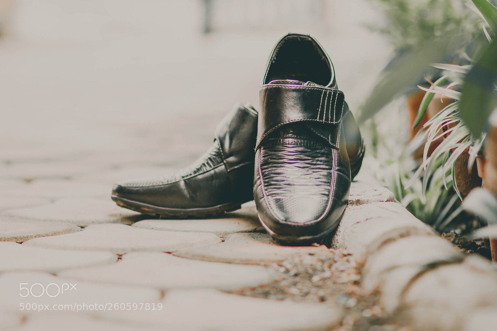 Canon EOS 7D sample photo. Copy photography