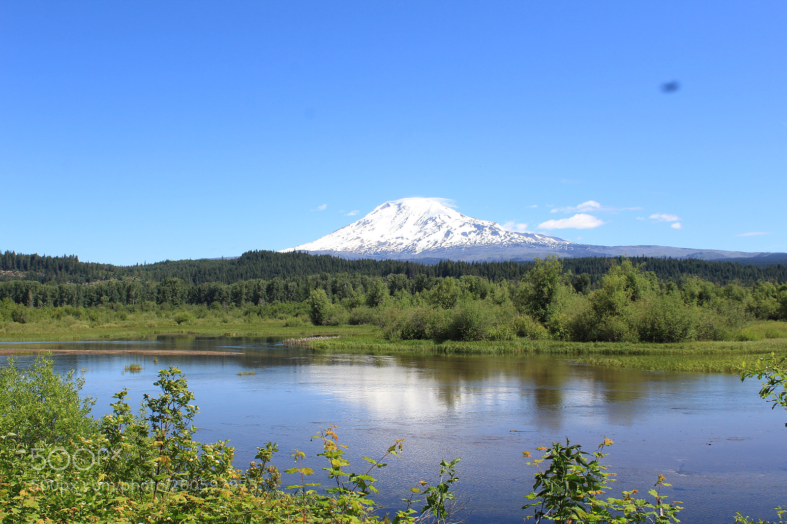 Canon EOS 1200D (EOS Rebel T5 / EOS Kiss X70 / EOS Hi) sample photo. Mt. adams from trout photography