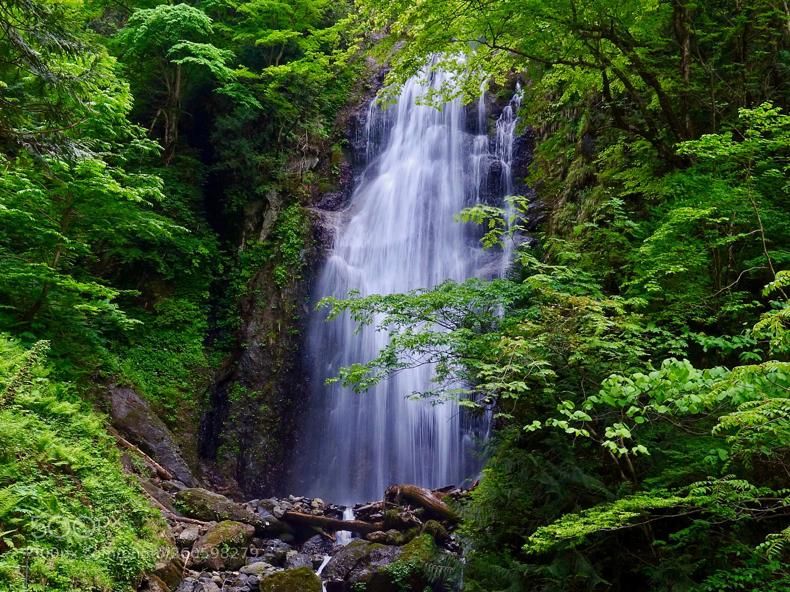 Sony Cyber-shot DSC-RX100 IV sample photo. Waterfall in the early photography