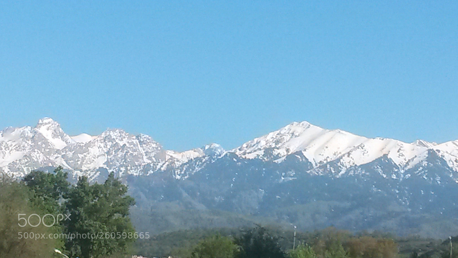 Samsung Galaxy S4 Mini sample photo. Untitled photography