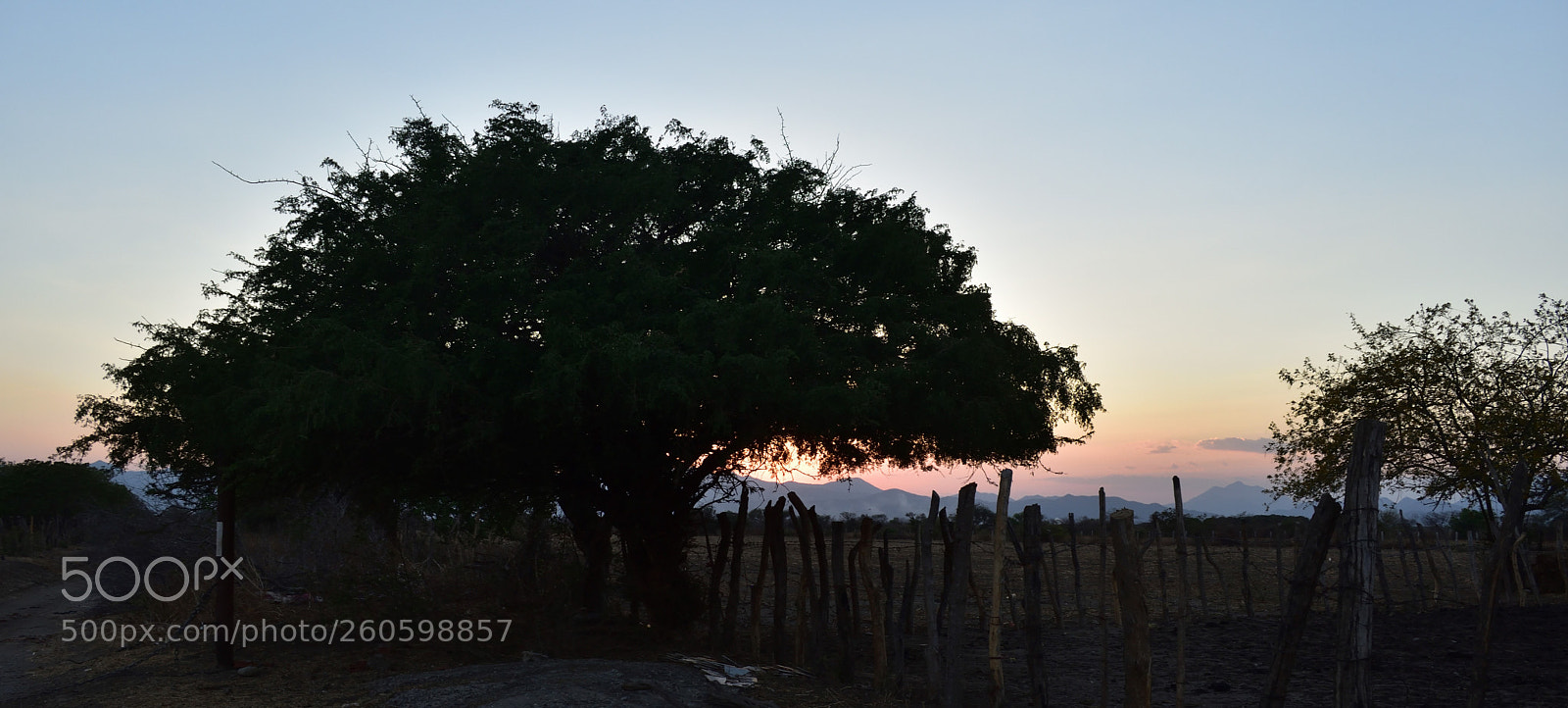 Nikon D3400 sample photo. Efecfo photography