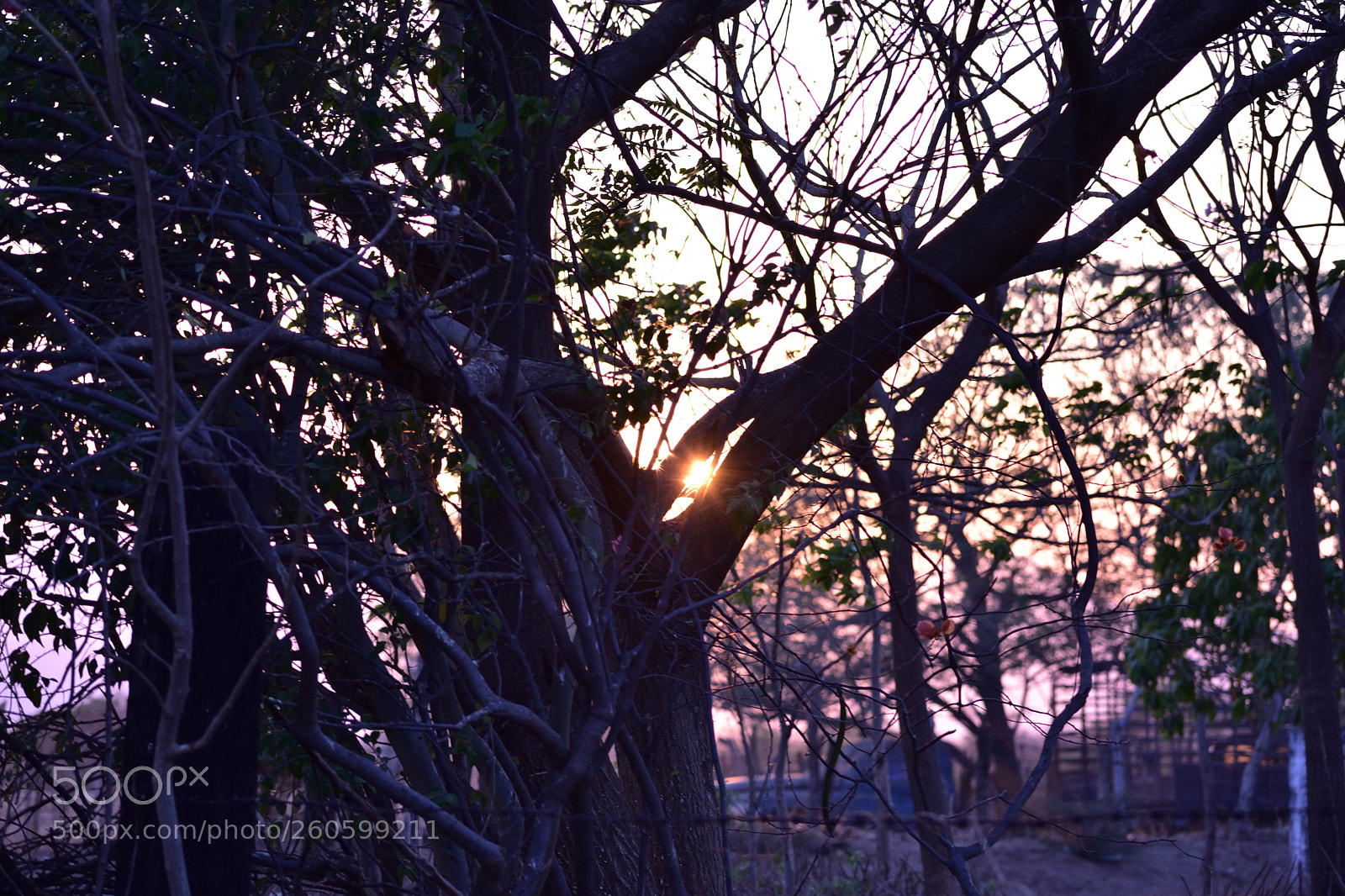Nikon D3400 sample photo. Ddfe o photography