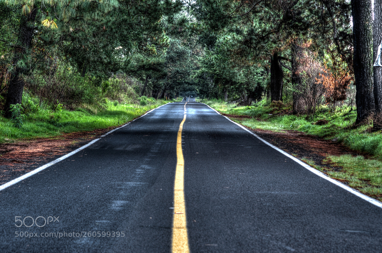Nikon D5100 sample photo. Follow the straight line photography