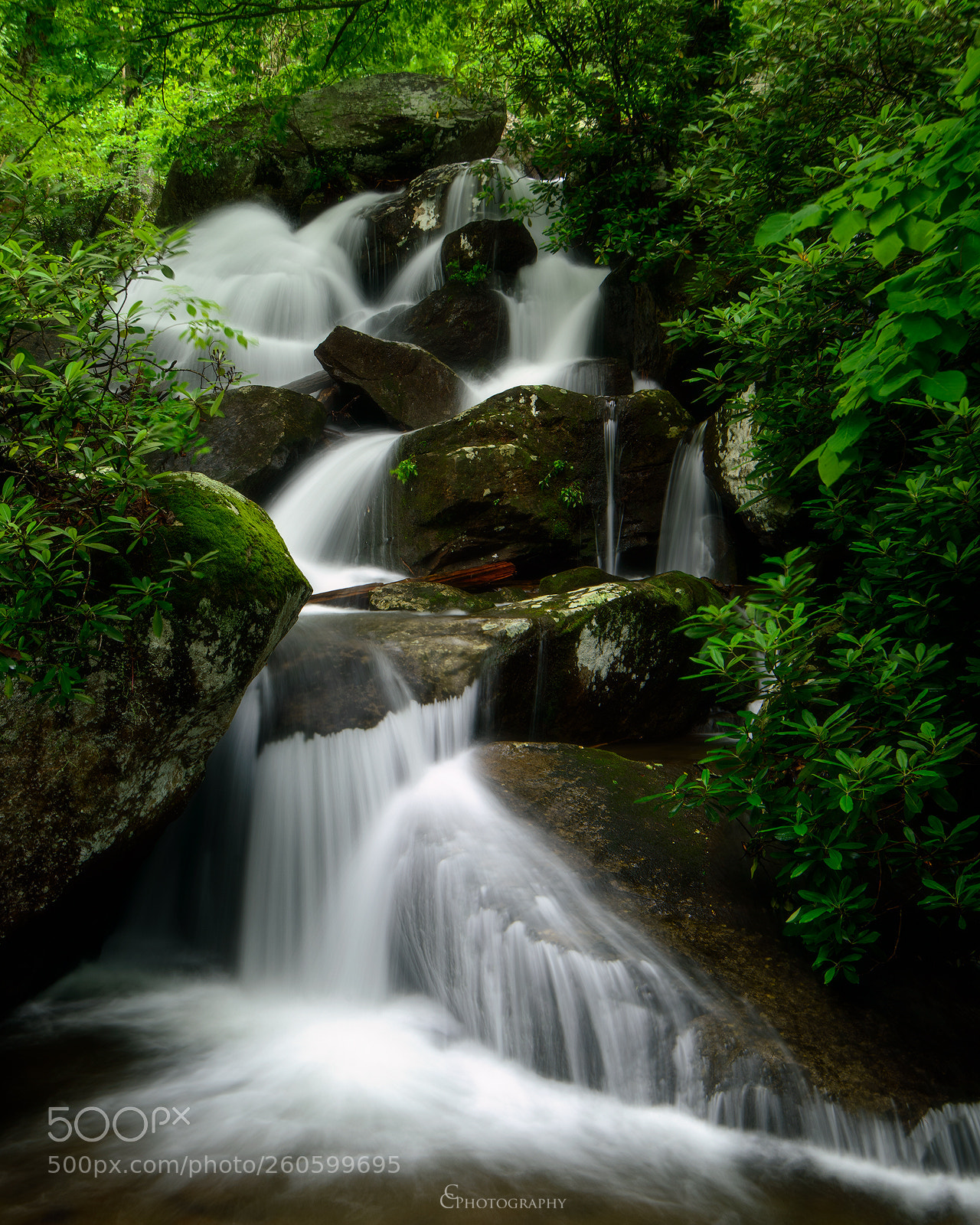 Nikon D800 sample photo. South mountain state park photography