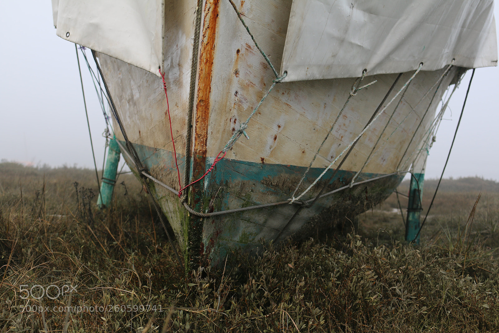 Canon EOS 70D sample photo. Bow on the ground photography